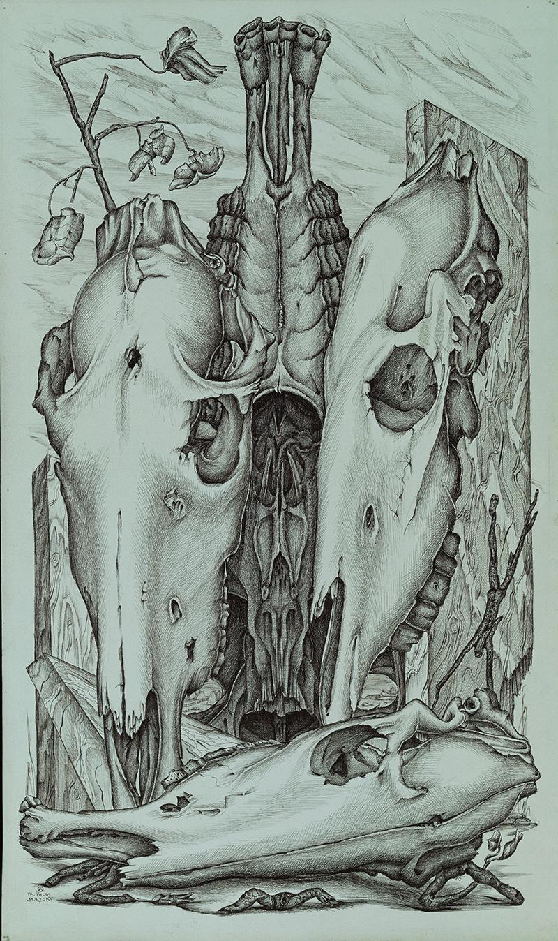 A drawing on blue paper in black lines with animal skulls